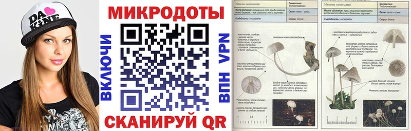 Псилоцибиновые грибы мухоморы  omg tor  Рыльск 
